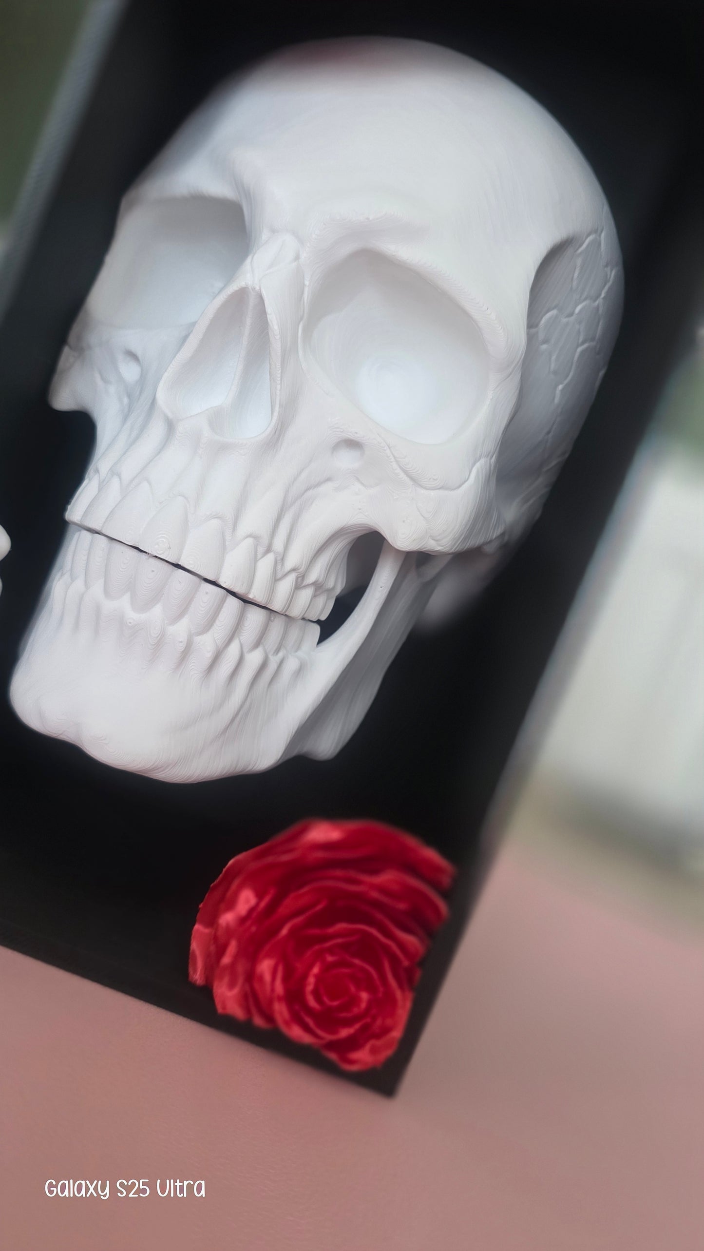 Skull & Roses Book Nook