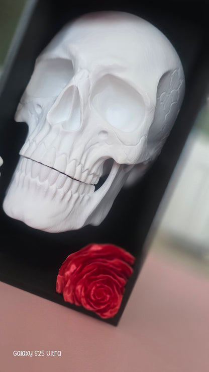 Skull & Roses Book Nook